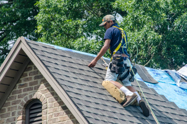 Best Shingle Roofing Installation  in Culpeper, VA